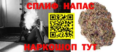 молекула духа Обнинск