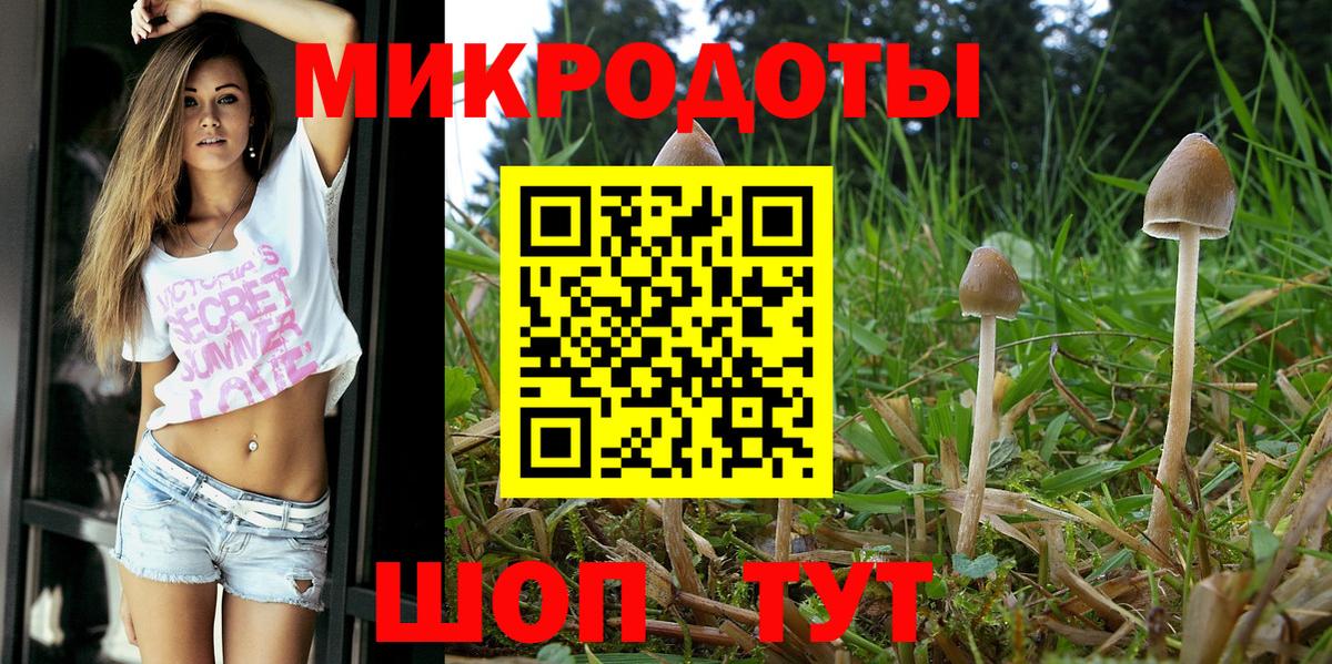 купить наркотик  Галлюциногенные грибы GOLDEN TEACHER  Вход с VPN  Ревда 