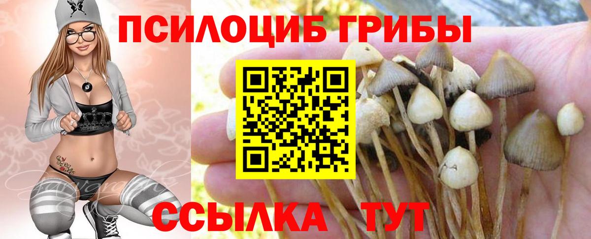 Псилоцибиновые грибы Psilocybine cubensis Ревда